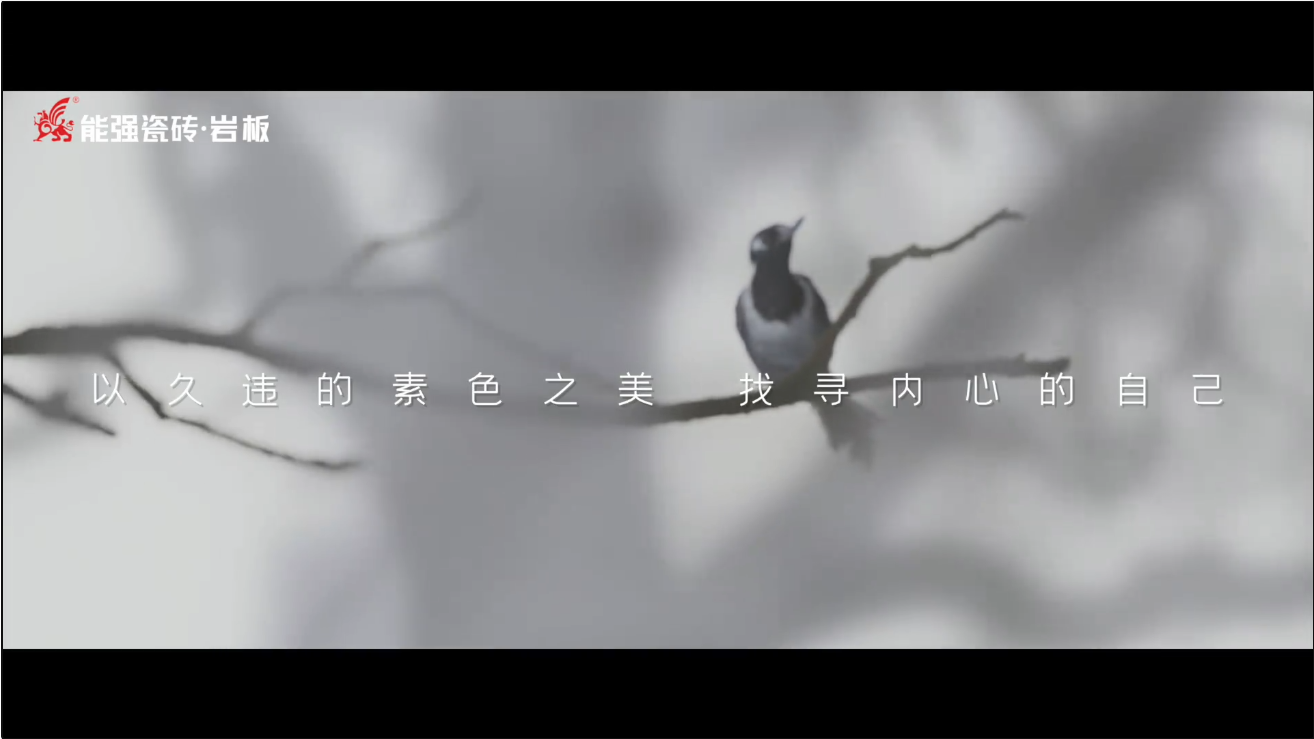 素巖系列 | 以素色之美，找尋內(nèi)心的自己
